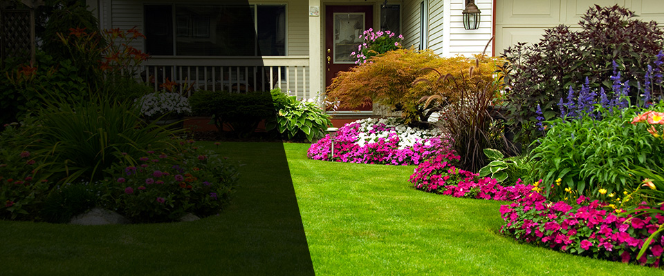 Cambridge Landscapers